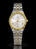 Two-Tone Chain ( Gold & Silver ) Stainless steel , Day-Date Display Watch