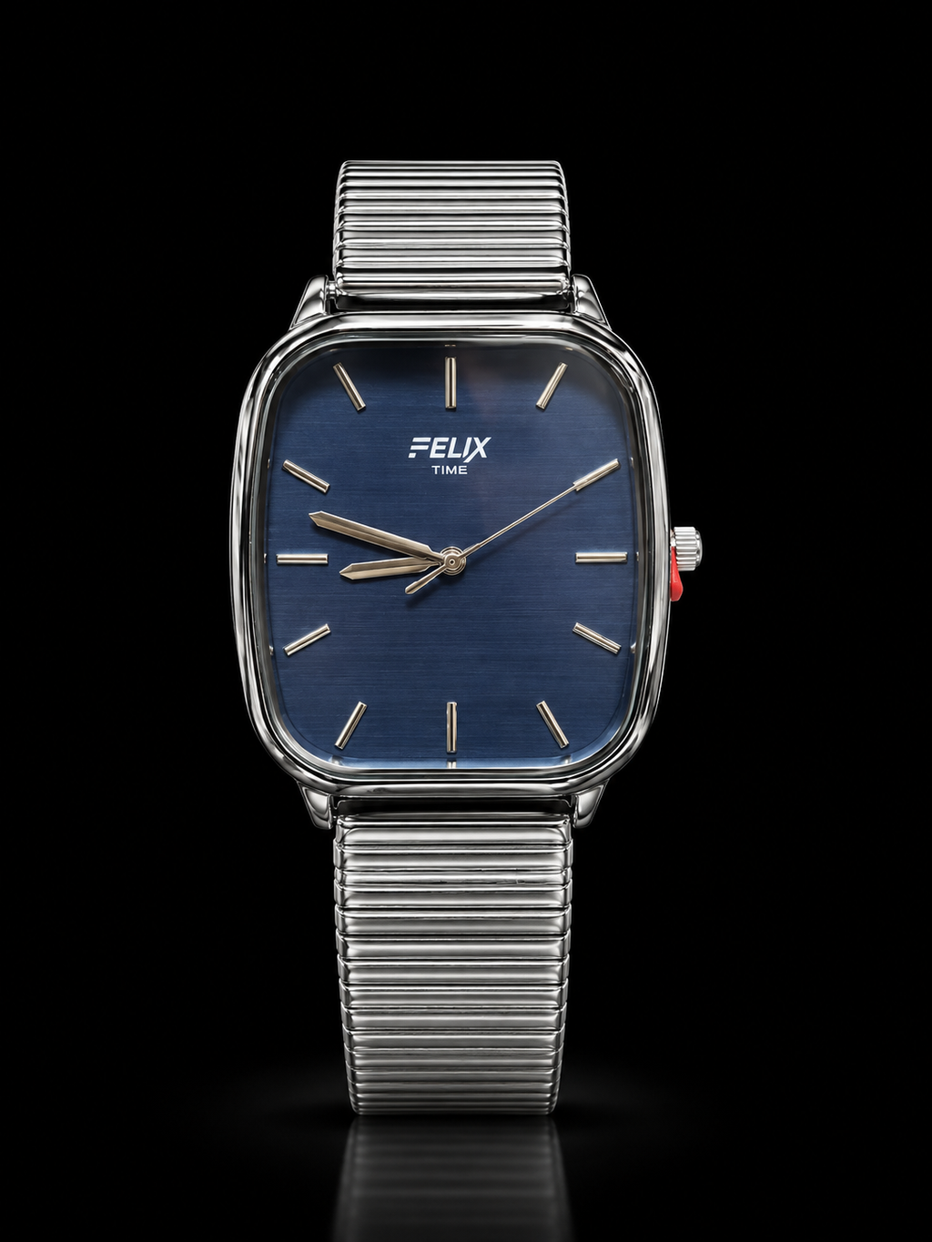 FELIX Classic Stainless Steel Watch